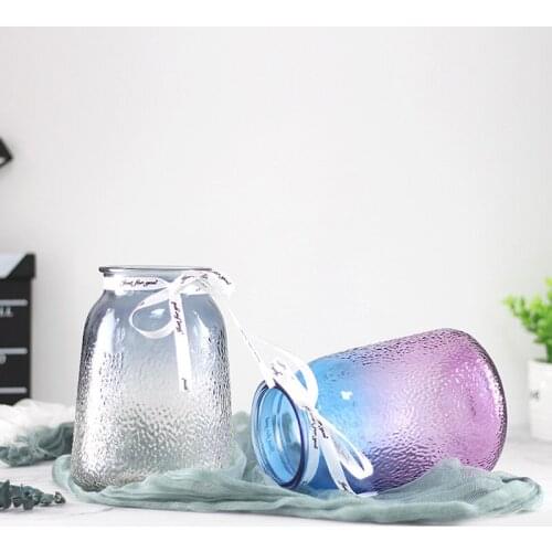 European Style Gradient Glass Plant Vase Living Room Creative Simple Hydroponic Flower Gift Craft Modern Home Decor Vases