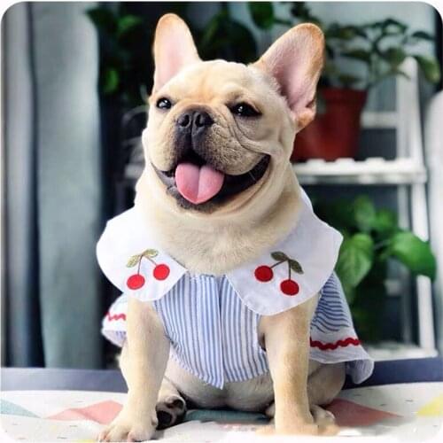 French Bulldog Skirt Dress Pet Dog Cat Shirt Summer Clothing For Small Medium Dogs Vest Puppy Pug Teddy Rabbit Clothes ZZC13