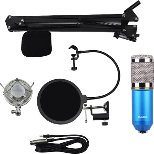 Professional Studio Broadcasting Recording Wired Microphone Mic Bundle - Blue
