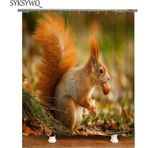 Animal shower curtains fashion bathroom curtain waterproof squirrel curtain for the bathroom