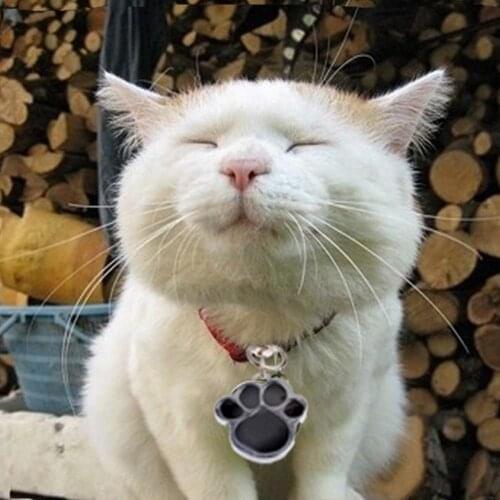 80% Hot Sales!!! Paw Dog Puppy Cat Anti-Lost ID Name Tags Collar Pendant Charm Pet Accessories