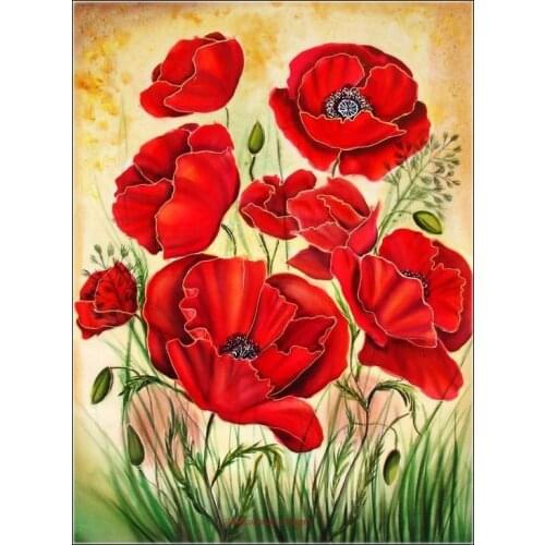 Counted Cross Stitch Kits Needlework Embroidery - Crafts 14 ct Aida DMC Color DIY Arts Handmade Home Decor - Red Poppy 3