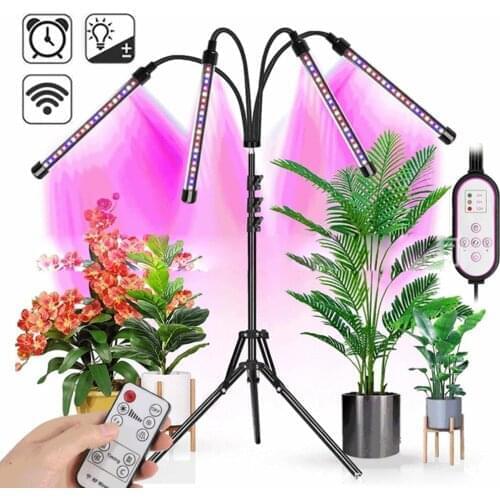 Фитолампы для растений XUNATA China At AliExpress