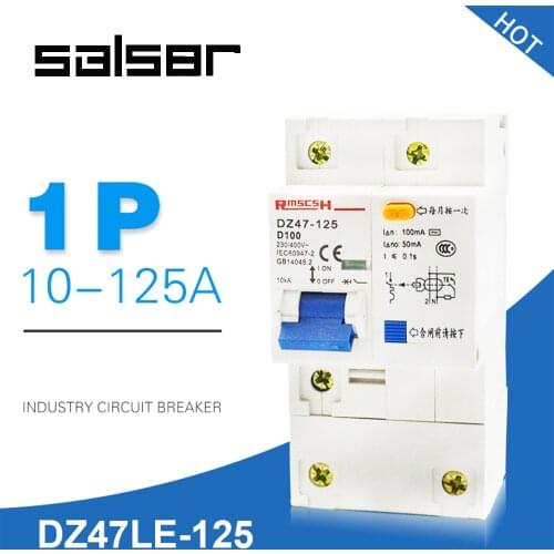 DZ47LE-100 1P+N Electric Leakage Mini Circuit Breaker Power Air Switch Household Protect MCB interruptor 80/100/125A