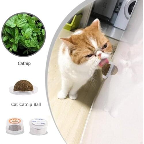 Cats Natural Mint Edible Ball Kitten Interactive Biting Catnip Playing Toys for Cat Kitten Snack Healthy Care Mint Ball