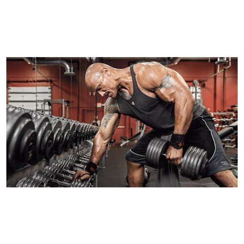 Lot style Choose The Rock Dwayne Johnson Fitness Bodybuilding Art print Silk poster Home Wall Decor