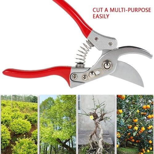Hands DIY Trellis Shears