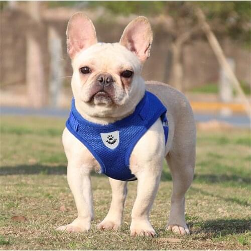 New Dog Accessories Breathable Mesh Dog Harness and Leash Set Puppy Cat Harness Vest for Small Dogs Chihuahua Arnes Para Perro