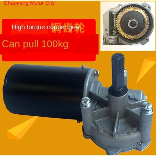 Worm Gear Reducer Motor 12V/24V 80W 90W 100W Turbine DC Reducer Copper Turbine Roller Gate