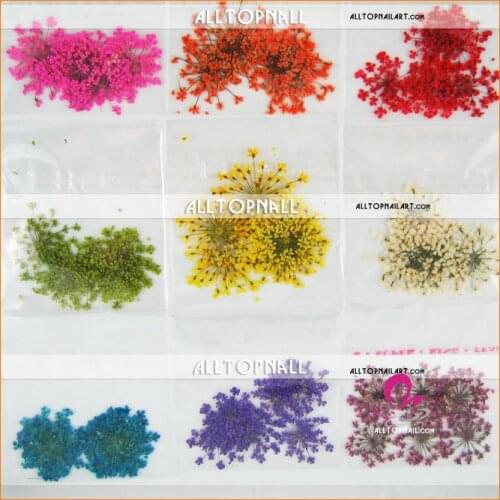 Assorted Styles Press Dry Real Flower 180pcs Nail Art Natural Dry Flower