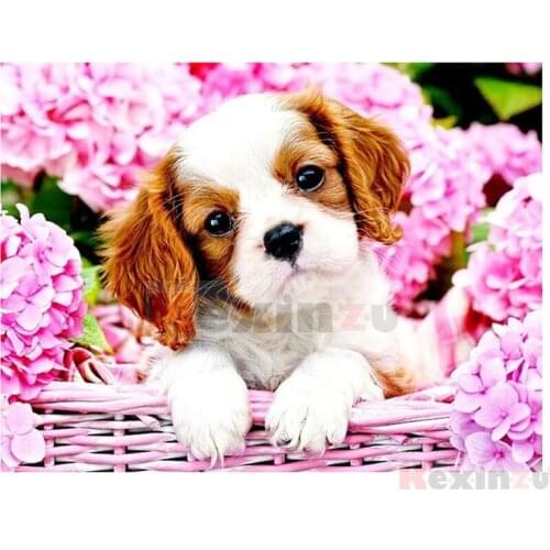 5D DIY Full Square/Round Drill Diamond Painting "Animal Dog" Embroidery Mosaic Cross Stitch Wall Stickers Decor Gift SFD04