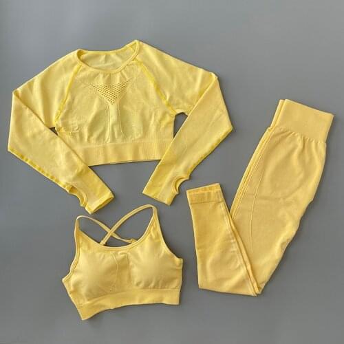 2/3Pcs Seamless Yoga Set Sport Suit For Women Long Sleeve Crop Top Bra Running Pants Gym Clothing Hollow Out Workout Outfit