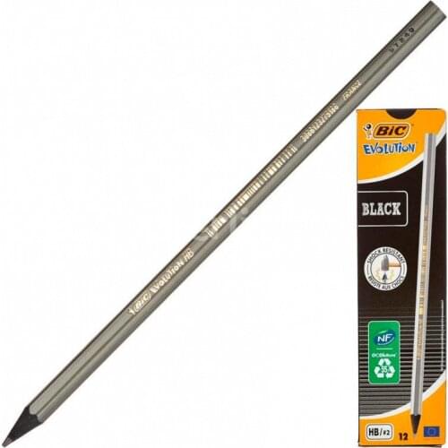 12 li pencil bic