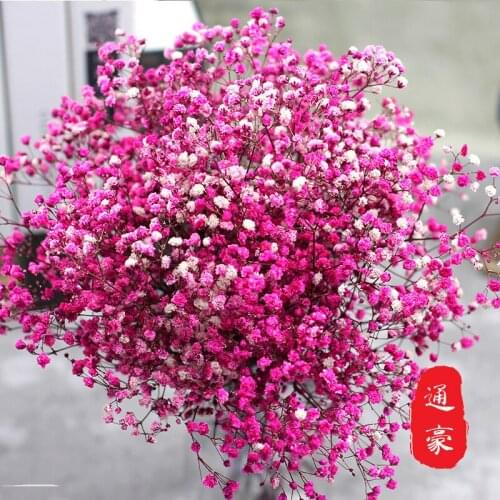 2pcs Stars Dried Flowers Bouquet Valentines Day Eternal Gypsophila Flowers Batch by 120g a Bouque color dried flowe