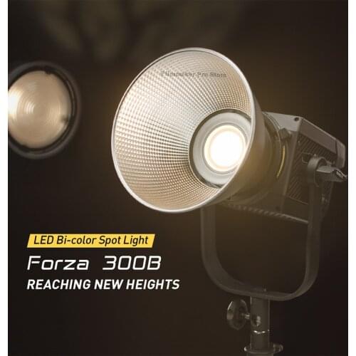 Nanlite Nanguang 300B 300W Bi-color Photography lighting Outdoor 2700K 6500K LED Monolight COB Light Bowens Mount Studio light