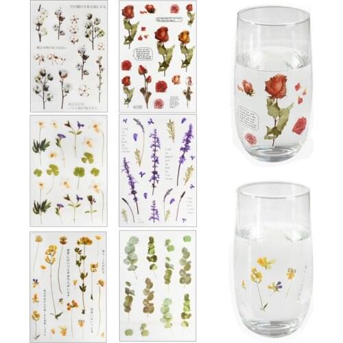 5sheets Natural Plant Daisy Rose Clover Floral Transparent Sticker PET Material Flowers Leaves Diary Scrapbooking Decor Stickers