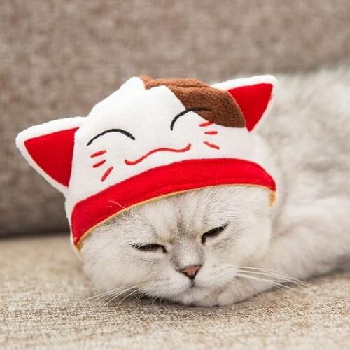 New Cute Dog Cat Hat Teddy Headgear Cat Caps Soft Cotton Funny Dress Up Cosplay Party Costume Pet Clothes Supplies disfraz perro
