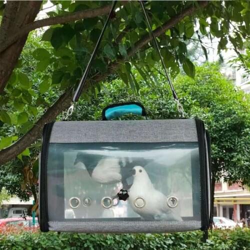 Товары для птиц WICK AND HIS PETS China At AliExpress