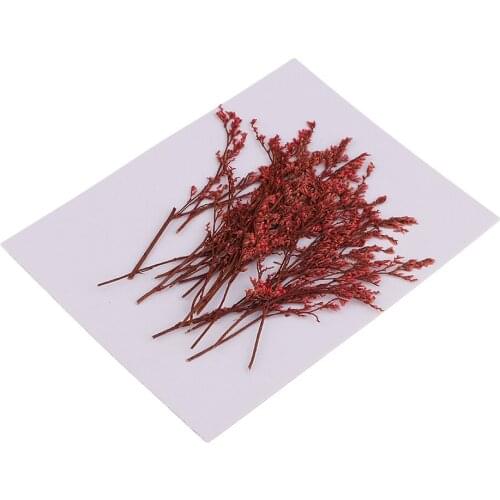 20x Real Dried Flower of Dyed Red Limonium for Candle Making