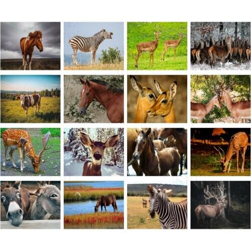 Zebra Donkey 5D DIY Square Round Mosaic Sticker Diamond Embroidered Grassland Elk Diamond Painting Home Decoration Handmade Gift