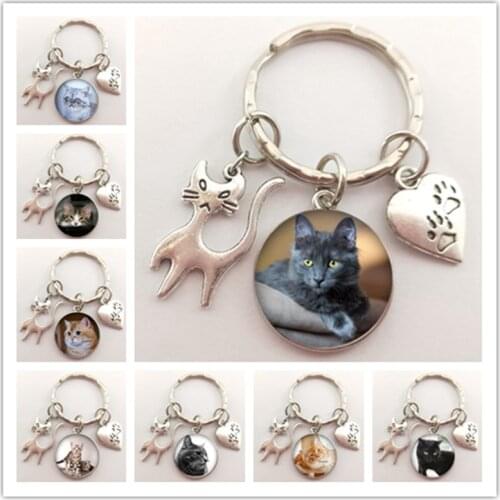 Pendant animal jewelry keychain car keychain keychain glass dome convex round pet cat cartoon art jewelry gift