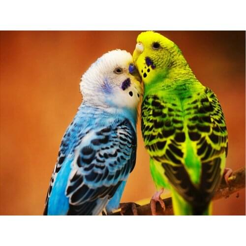 DIY 5D diamond painting Beautiful little bird diamond embroidery pictures of rhinestones crafts Needlework diamond mosaic