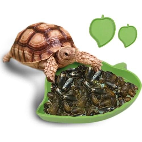 Leaf Shape Amphibians Reptiles Feeder Plastic Reptile Terrarium Feeding Basin Tortoise Lizard Crawler Bowl Basin Water Fountain
