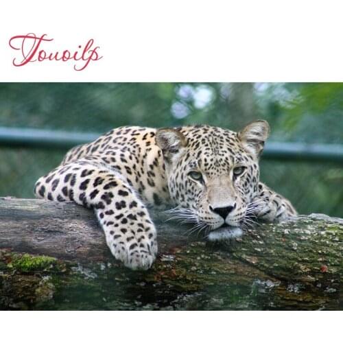 Full spuare&round Diamond Embroidery,Animal Leopard ,5Diamond Painting,Cross Stitch Diamond Mosaic,Needlework,Christmas art