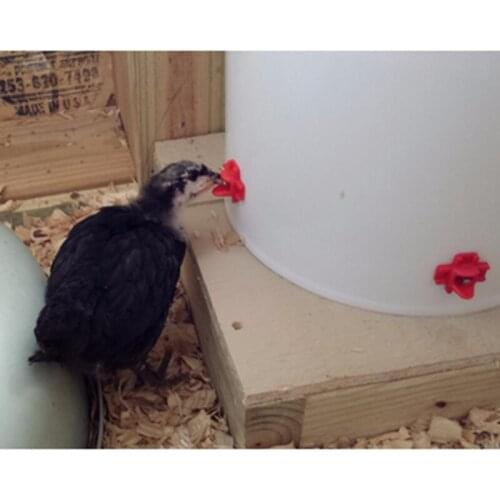 FREE-SHIP-20-Chicken-Drinker-Nipple-Horizontal-Side-Mount-Screw-Drinking-Water