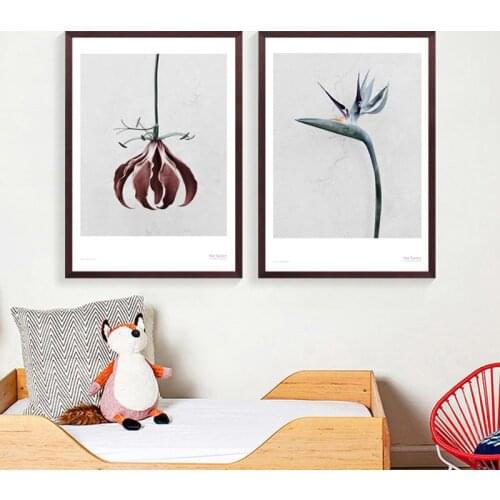 Nordic Style Plant Flower Character Photography Canvas Painting Wall Frameless Picture Print Poster Living Room Decoration