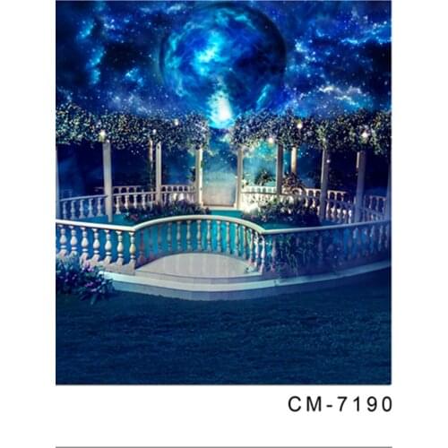 200x300cm Cold Blue Gloable Vinyl Backdrop for Photography Stars Sky Vintage Wedding Background Cloth fotografia