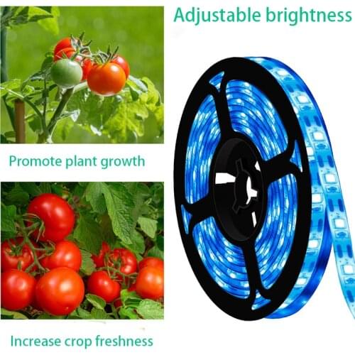 SMD 2835 Led plant growth light strip 60pcs/m light beads 5V USB Flexible LED Grow Strip Light for Aquarium Greenhouse Hydroponi