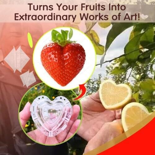 Hot Sale New 1pcs Greenhouse Magic Heart-shaped Strawberry Fruit Shaping Growth Molds garden invernadero para casa