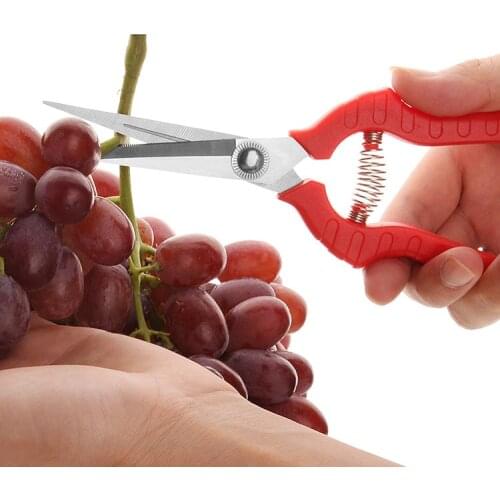 ZtDpLsd Grape Pick Fruit Thinning Scissors Cut Thin Shear Hand Long Mouth Bonsai Pruning Shears Stainless Steel Pointed Branch