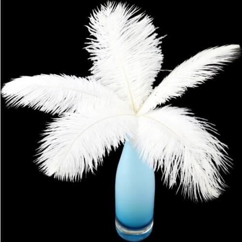 10Pcs/Lot Ostrich Feathers Decorative 15-20 CM for Party Wedding Clothes Sewing Diy Jewelry Decoration Accessory Crafts Plumage