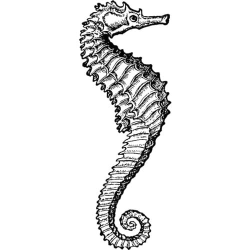 2021 New Retro Ocean Animal Hippocampus Pattern Clear Stamps For DIY Making Greeting Card and Scrapbooking No Metal Cutting Dies