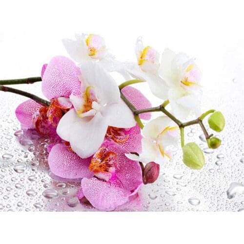 Flower Orchid DIY 11CT Cross Stitch Embroidery Kits Needlework Craft Set Printed Canvas Cotton Thread Home Dropshipping
