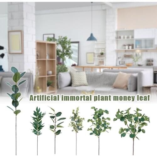 Frequeback Home And Garden Products