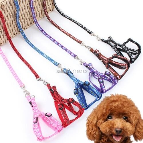12 pcs/lot Adjustable Nylon Pet Harnesses Collar For Small Cats Dogs Pet Traction Harness Belt Kitten Cat Halter Collar Product