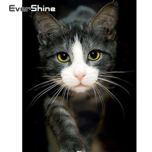 Evershine Diamond Painting 5D Animals Rhinestone Pictures Full Set Embroidery Cat Cross Stitch Mosaic Painting Home Decoration