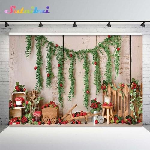 Sweet Strawberry Cake Smash 1st Birthday Party Backdrop Vintage Wood Wall Newborn Baby Shower Photography Background for Studio