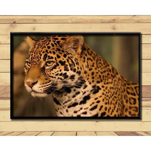 Jaguar Strong And Fast Land Animal (14) Wall Posters Prints Silk Art Painting For Home Wall Bedroom Decor