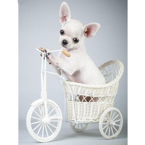 Full Square/Round Drill 5D DIY Diamond Painting chihuahua dog 3D Embroidery beads Cross Stitch Mosaic stickers Home Decor FG1840