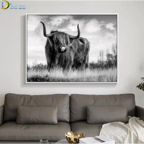 5D DIY Diamond Painting Black And White Highland Cattle Full Round Square Embroidery Cool Colors Art Animal Cross Stitch Mosaic