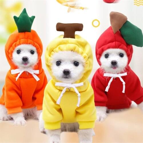 New Warm Fleece Winter Pet Clothes Apple Banana Carrot Fruit Cartoon Clothing for Small Medium Dogs and Cats Accessories