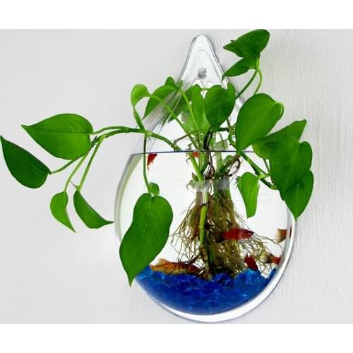 Wall-Mounted Hydroponic Creative Flower Pot Wall-Mounted Wall-Mounted round Container Transparent European Style Vase