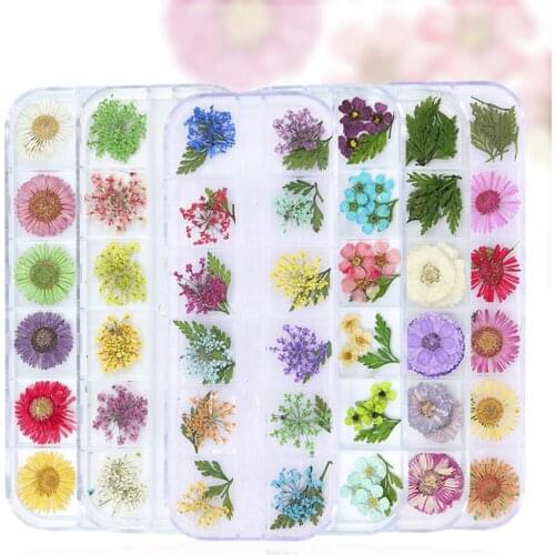 Delicate Dry Flower UV Gel Nail Art Decor Women Manicure Handcraft DIY Tool Dried Flowers Real Floral Stickers Nail Decorations