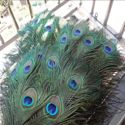 20Pcs/Lot Peacock Feathers for Crafts Peacock Decor Natural Peacock Feather Decor Bag Wedding Home Decoration Accessories Plumas