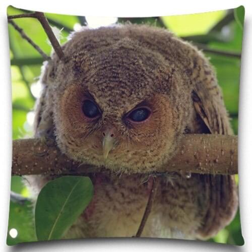 The head in the branches of the owl 2D print creative Pillow case Square cotton polyester cushion cover 5 size 9 style