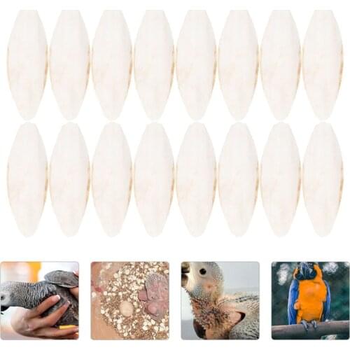 30pcs Parrot Calcium Teeth Grinding Cuttlefish Bone Chewing Cuttlefish Bone